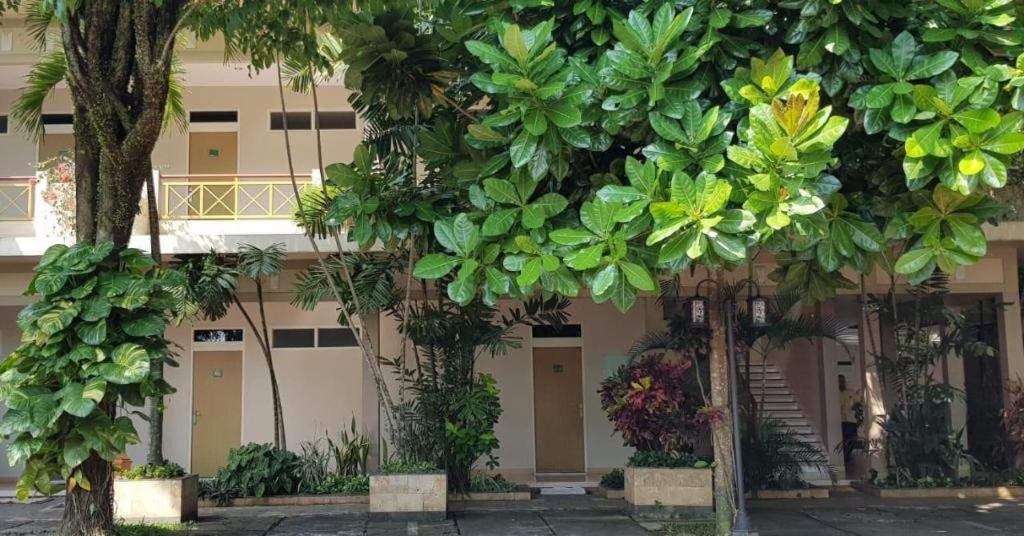 Hotel Sulawesi Jembel Exterior foto